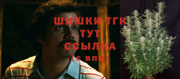 амф Абдулино