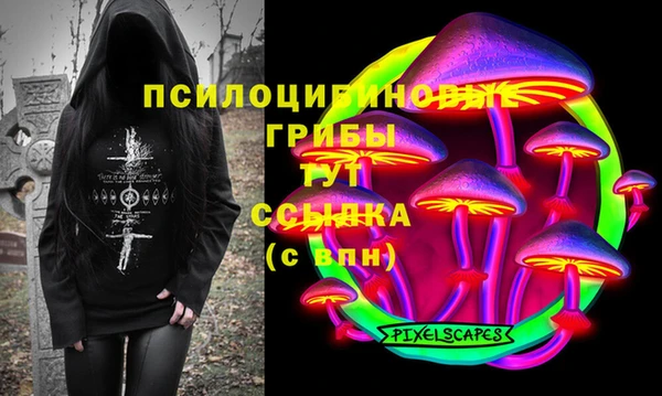 ешки Абаза